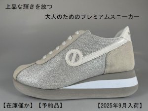 画像1: 【予約品】【２０２５年９月以降入荷】ノーネーム　NO NAME　SPEED ZIP JOG 　STRASS　シルバー　靴　スニーカー　厚底 (1)